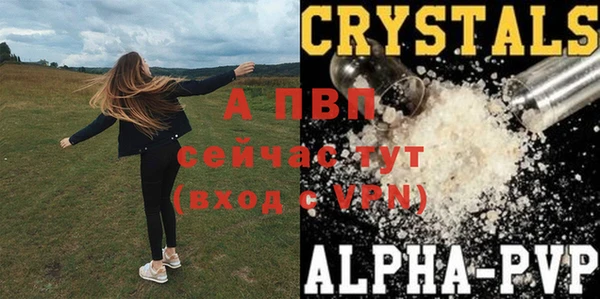 a pvp Аркадак