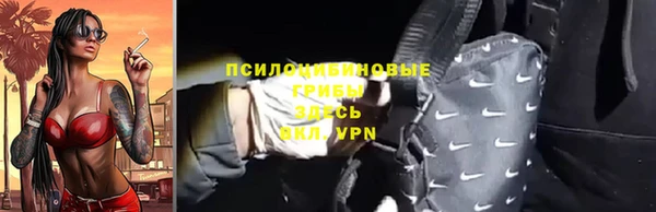 дмт Пересвет