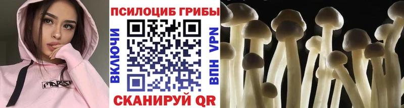 сайты даркнета клад Усть-Лабинск Псилоцибиновые грибы Magic Shrooms
